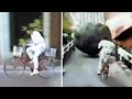 Funniest Japanese Pranks Compilation LOL Part 5