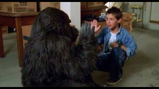 Trailer Preview Image