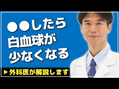 犬の白血球減少症 – 原因と治療法
