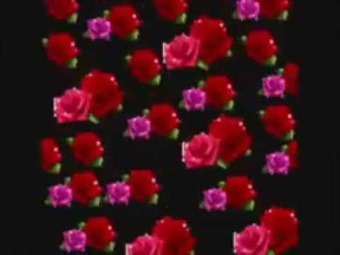 esta viagem farei ccb hinário 4 Jane Melo