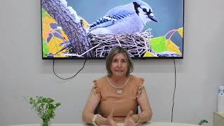 Curso - Aula 10