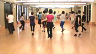 Old Sunshine Line Dance