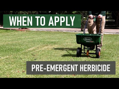 What Month Should You Apply Pre-Emergent? [DIY Lawn Care]