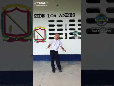 Apoyemos el talento de nuestros niños I E R La Muñoz Sede los Andes