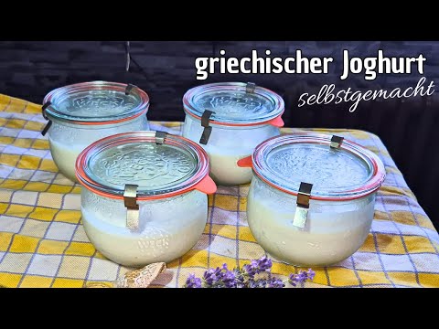 Griechischer Joghurt mit nur 2 Zutaten einfach selber machen, spart Geld #143