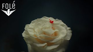 Download lagu Denk x Capital T - Rosè mp3 Download lagu Denk x Capital T - Rosè mp3