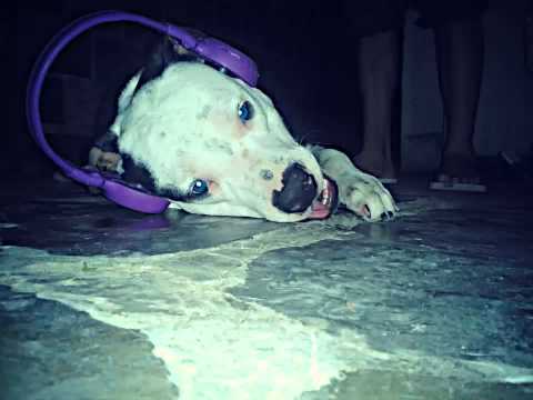 DJ SEBAS -- MIX ELECTRO ♫