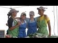 SciGirls 108 Science Cooks