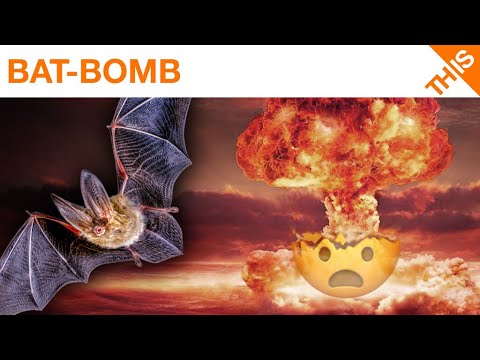 How the Bat Bomb Almost Won World War 2 Video