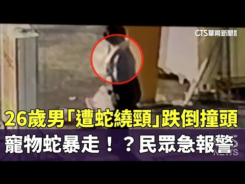 寵物蛇暴走！？　26歲男「遭蛇繞頸」跌倒撞頭　民眾急報警