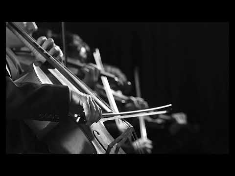 Opus 10 - Ringing Strings Of Stringodotus (Original Composition)