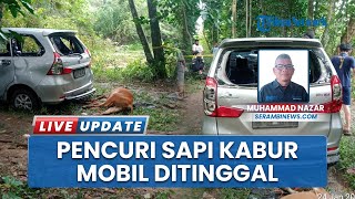 Maling Ternak Sapi di Pidie Terciduk Warga, Pelaku Tinggalkan Mobil dan 1 Sapi Sudah Disembelih