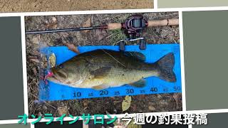 4月28日今週の釣果報告!#Shorts