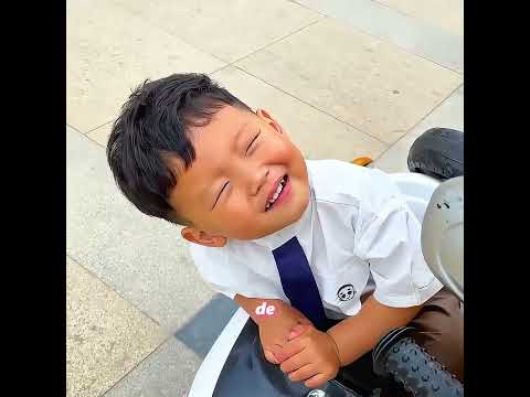 Este perro es el guardaespaldas exclusivo del niño. #pets  #dog  #funny