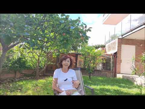 Lección 304 Un Curso de Milagros - Carmen Gomez Cuenca (2023) Despertar de la Conciencia