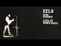 Eels : The only thing I care about (With strings)