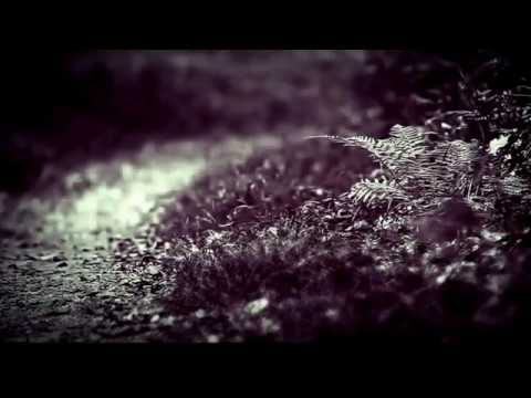 De3e  - Tech Rolls (UK Export Records FREE DOWNLOAD)