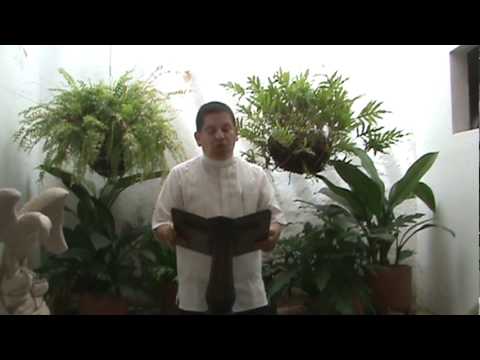 EVANGELIO DIARIO 27 DE AGOSTO 2011 - PARROQUIA LA SAGRADA FAMILIA