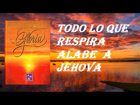 198  MI VIDA DI POR TI   (CELEBREMOS SU GLORIA)