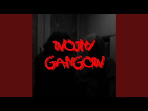 WOJNY GANGÓW