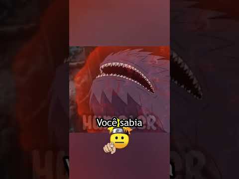 Quem a Samehada é de verdade