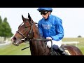2m Frankel Colt TREANMOR Stars On Debut Racing TV