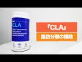 【3分間サプリ講座】『CLA』の摂取量・タイミング・脂肪分解補助効果について