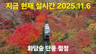 입장료 10만원을 받더라도 또 오고싶은 단풍 명소/ 화담숲 단풍 골든타임 시작