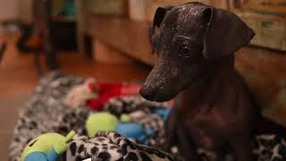 Thank you for saving these lives