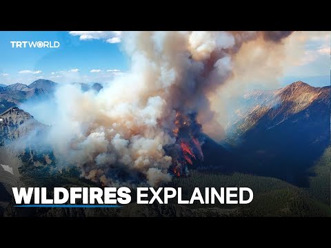 What are wildfires and how do they impact us?