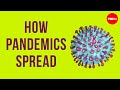 How pandemics spread How pandemics spread