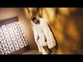 Harmonize Ujana Official Music Video