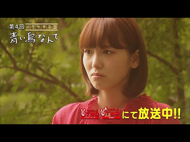 青い鳥なんて