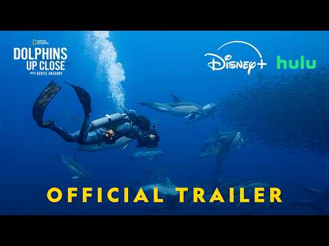 Dolphins Up Close with Bertie Gregory | Official Trailer | National Geographic