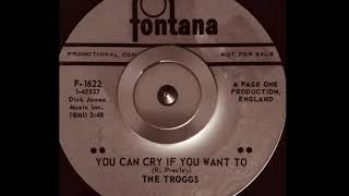 The Troggs - YOU CAN CRY IF YOU WANT (1968)