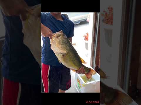 9 pounder caught on my new lews