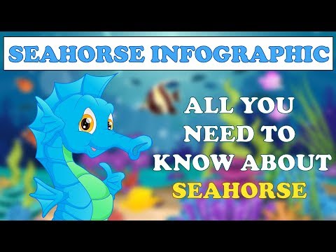 image-Do Seahorses have a heart?