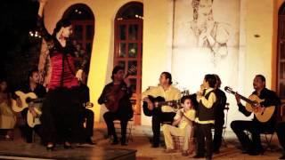 Chico &amp; The Gypsies et Daniel Guichard - Le Gitan (extrait)