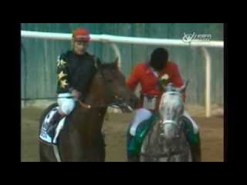 1988 Belmont Stakes Risen Star