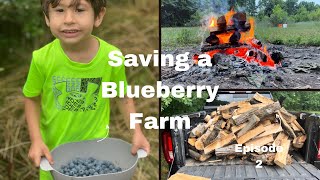 Camping, splitting wood, picking blueberries, and cooking! Another weekend on the Blueberry Farm