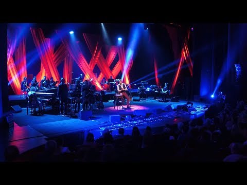 Aurelian Temisan - Cine Oare? | Unplugged