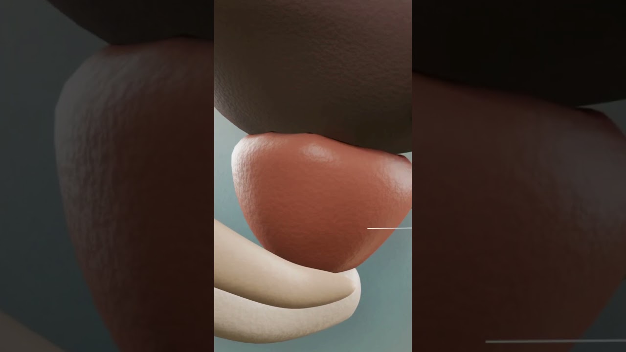 Jorge Alberto Juárez Varela-126