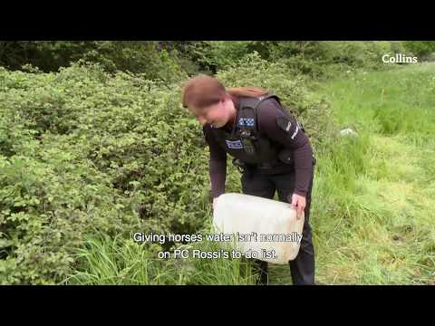 Japanese Translation of “UNEXPECTED” | Collins English