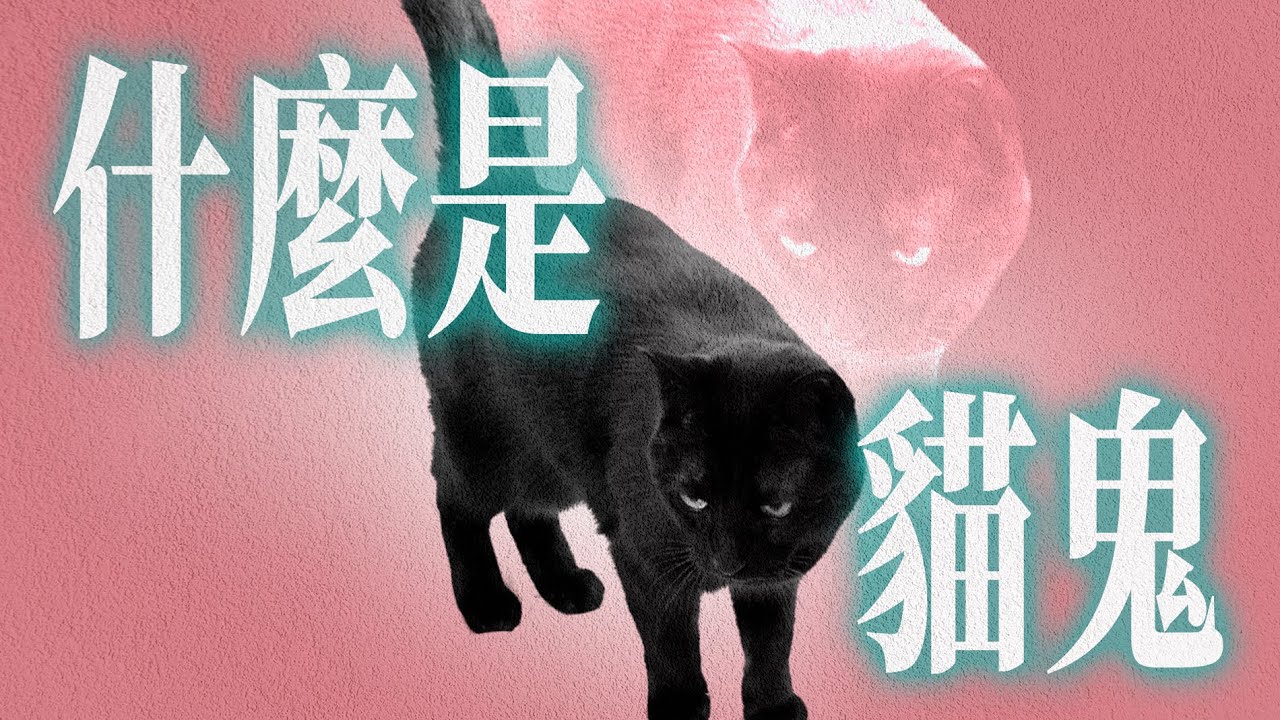 猫也能炼成鬼？揭秘亚洲禁忌秘术“猫鬼”的诅咒与驱除｜X博士