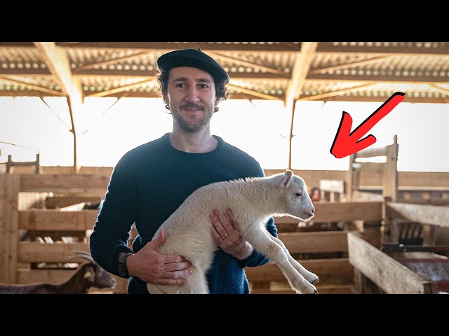 Vídeo relacionado con Bufanda de lana pura de borrego de Lona Scott Azul azul marino