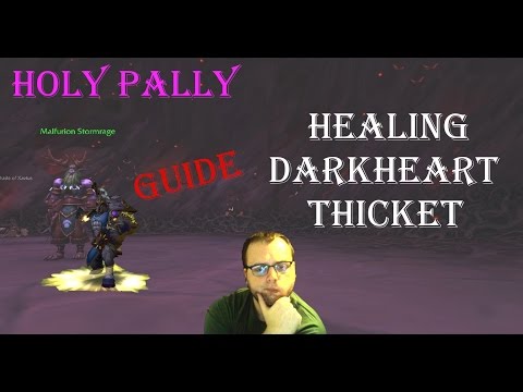 Wow-Legion-Holy Pally Healing Guide-Darkheart Thicket