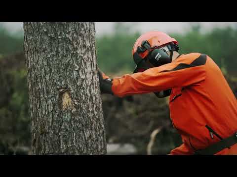 Echo CS-431-SX - film reklamowy