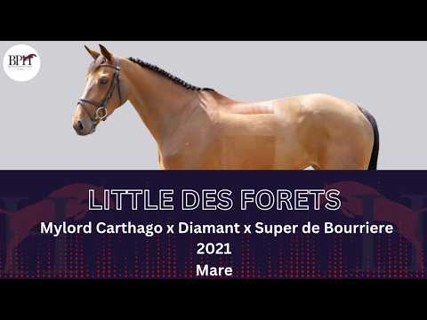 Little des Forets