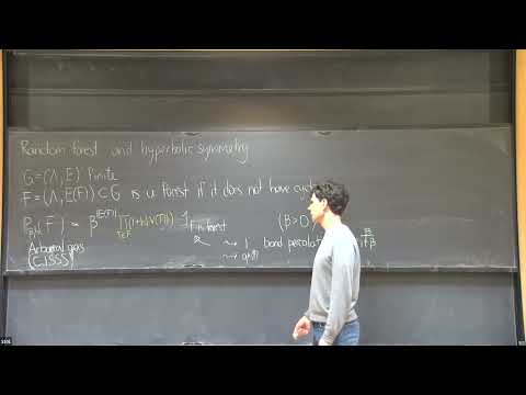 Random forests and hyperbolic symmetry - Roland Bauerschmidt