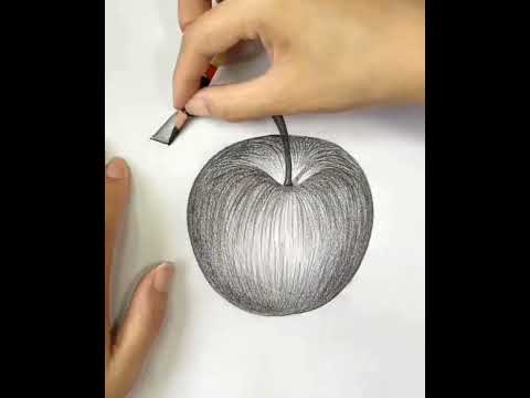 Get Started With Easy Apple Outline Drawing Techniques